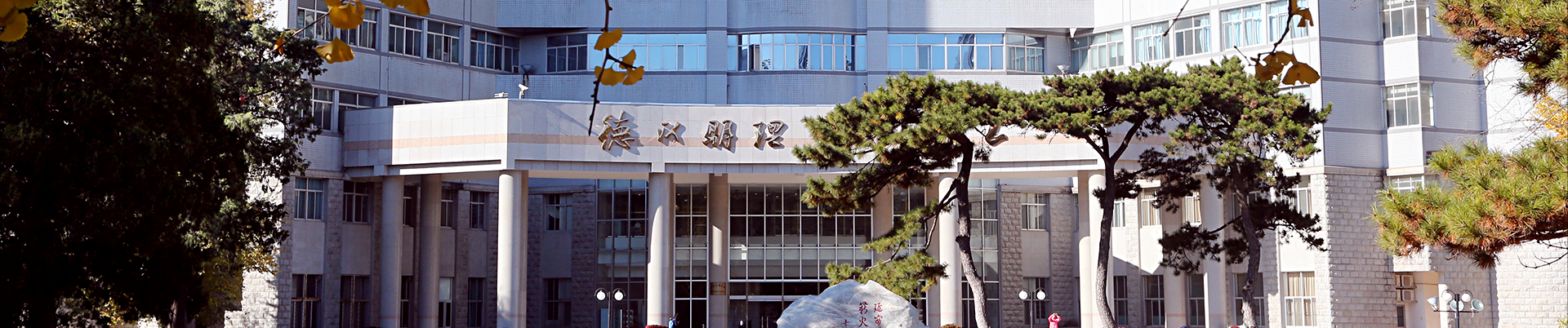黄色仓库